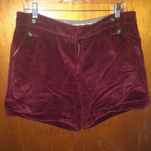 Anthropologie Corduroy Burgundy size 12 shorts